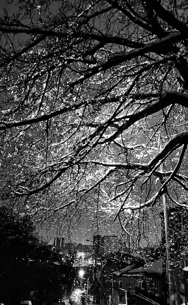 Фотография автора Юлия Фёдорова