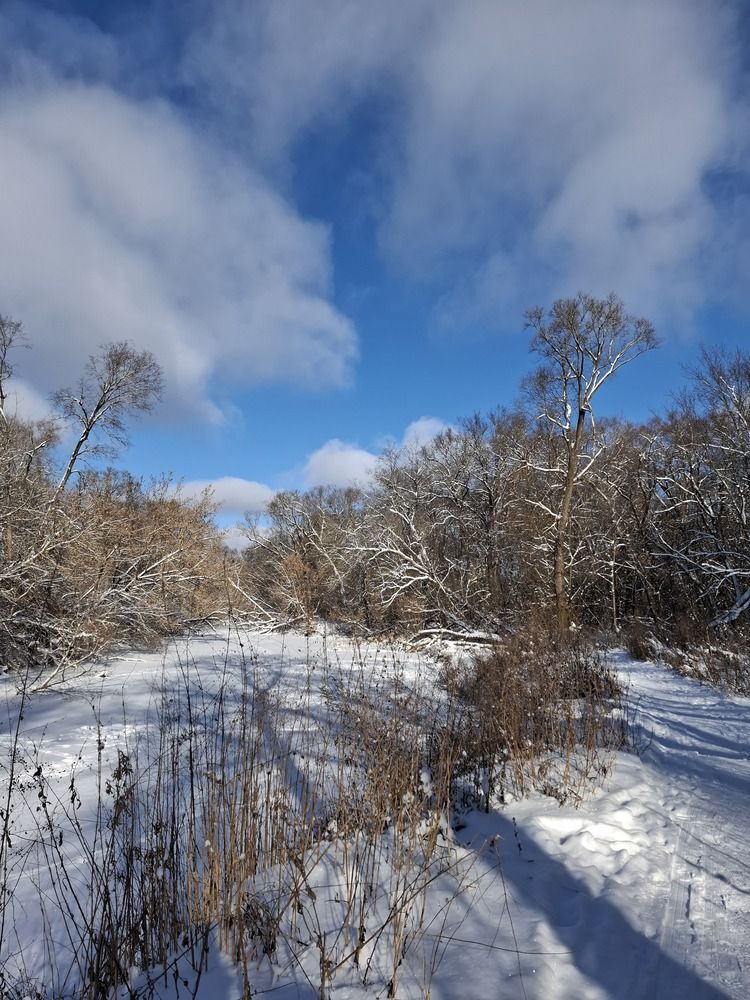 Фотография автора Irina Vornacheva