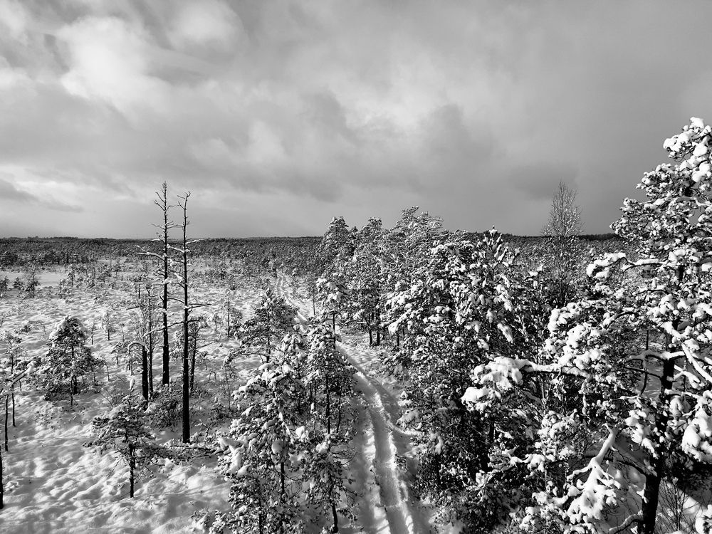 Photograph by Viktorija Bočarova