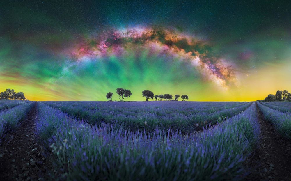 Photograph by Hector Hernandez