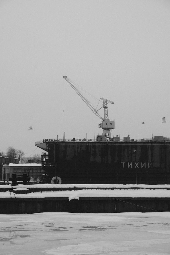 Photograph by Anastasia Vladimirovna