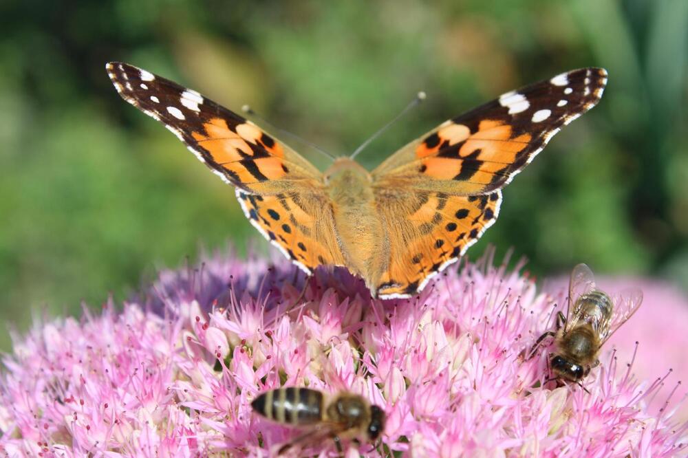 Photograph by Юлия Чурина