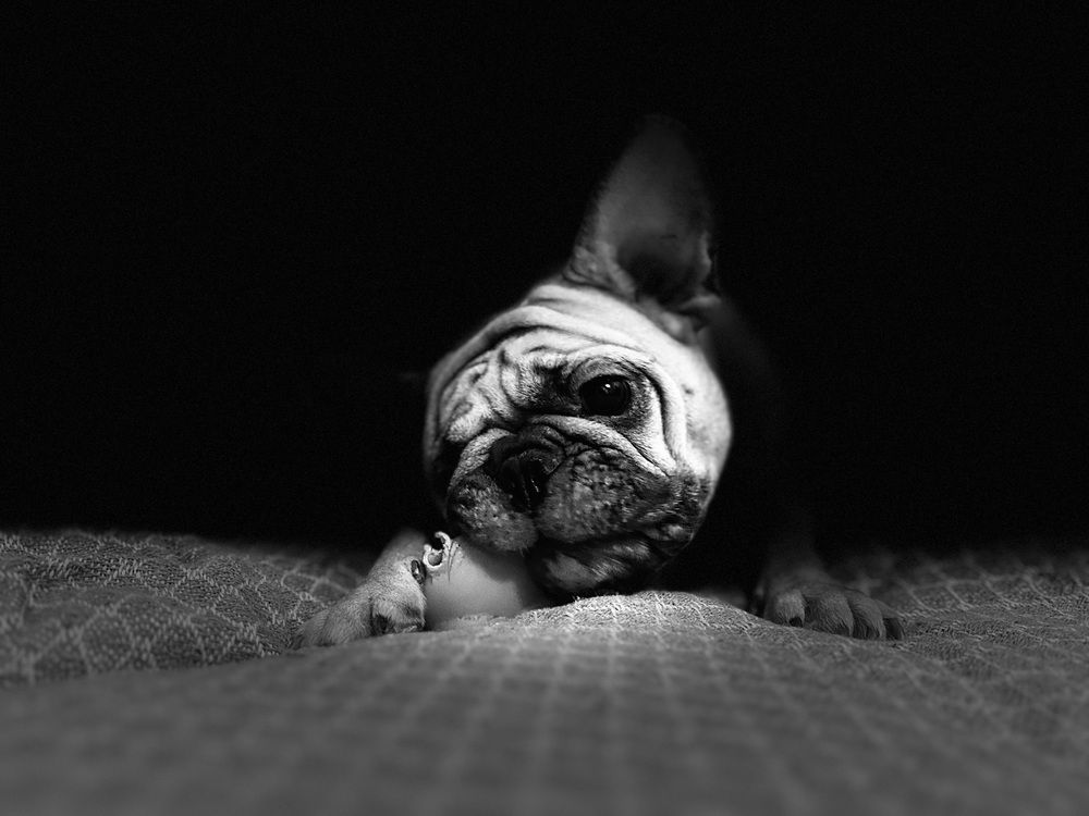 Photograph by Евгений Беляев