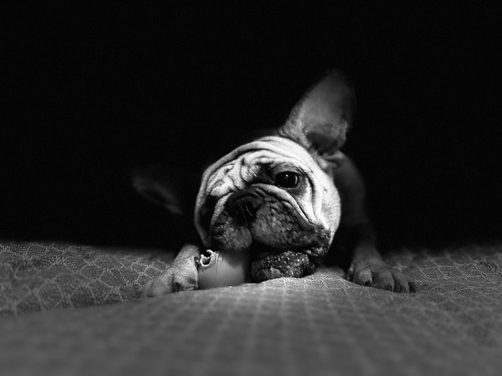 Photograph by Евгений Беляев