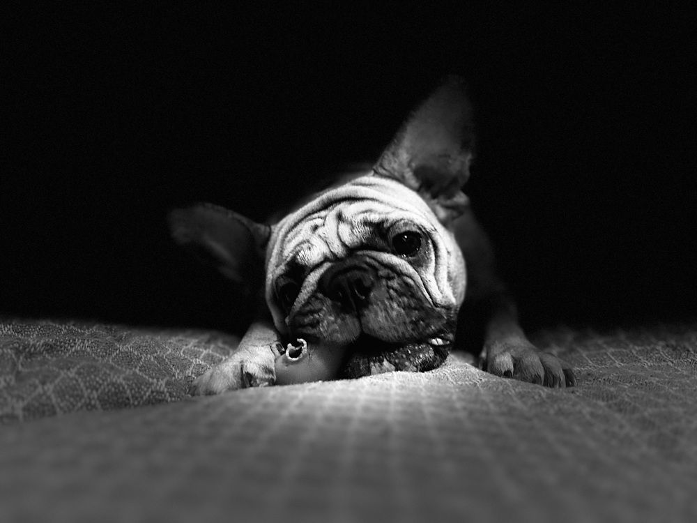 Photograph by Евгений Беляев