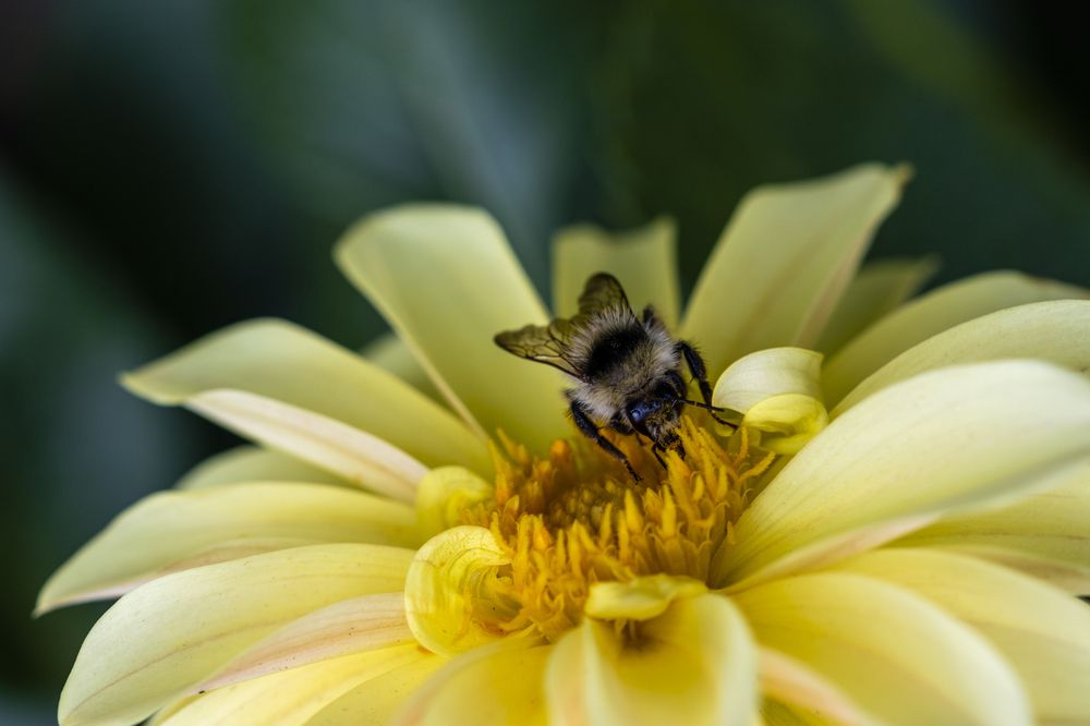 Photograph by Elena Tcykina