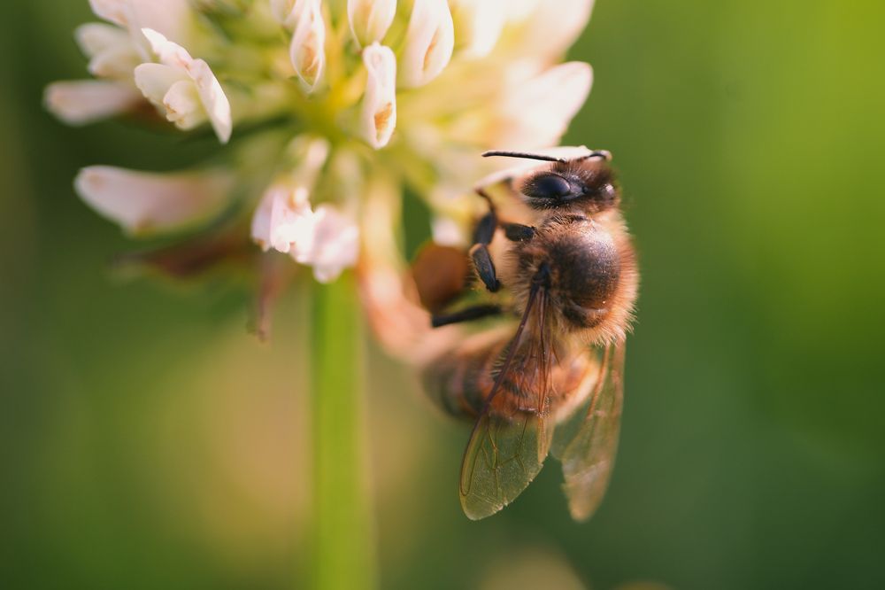Фотография автора Василиса Пушкарева