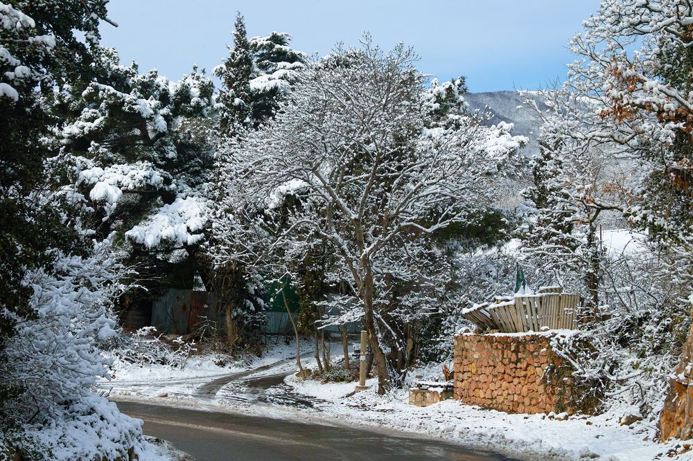 Photograph by Дмитрий Цыпляев