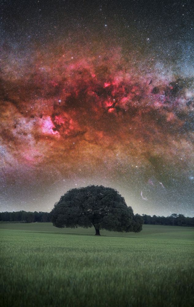 Photograph by Hector Hernandez