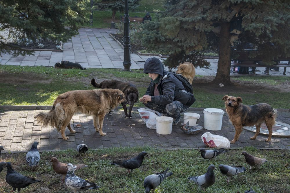 Photograph by Тетельман Давид