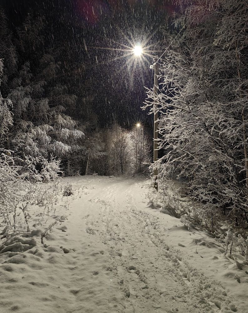 Photograph by Алексей Дмитриев