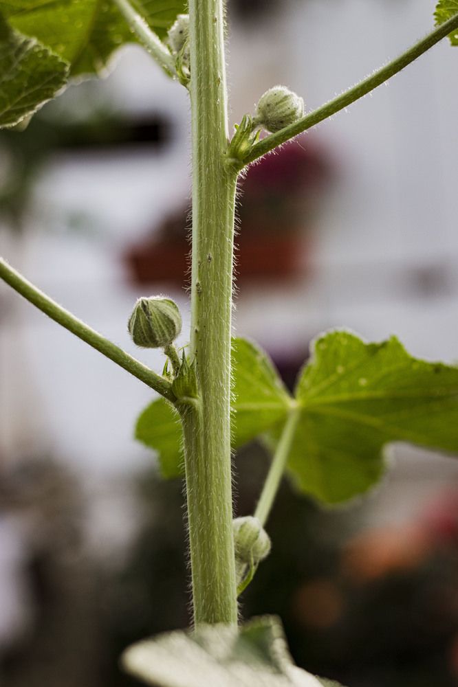 Photograph by Anna Gancheva