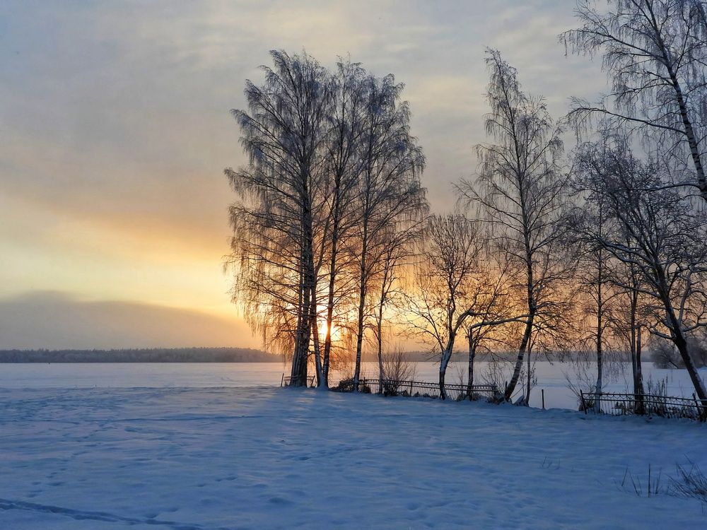 Photograph by Александр Шаварин