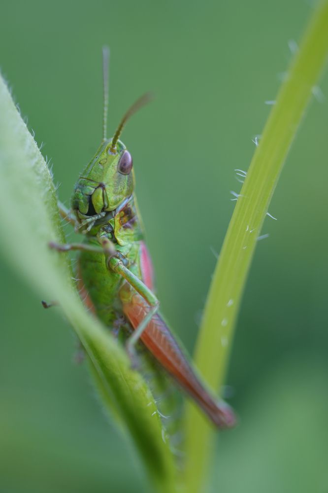 Фотография автора Василиса Пушкарева