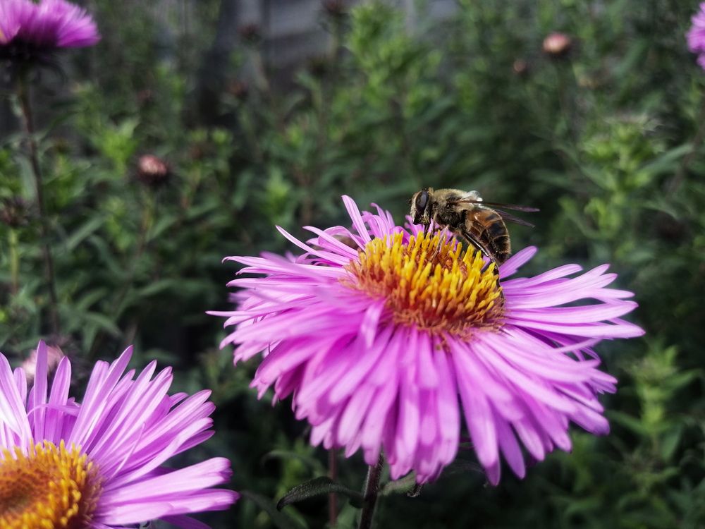 Photograph by Серафима Футлярова