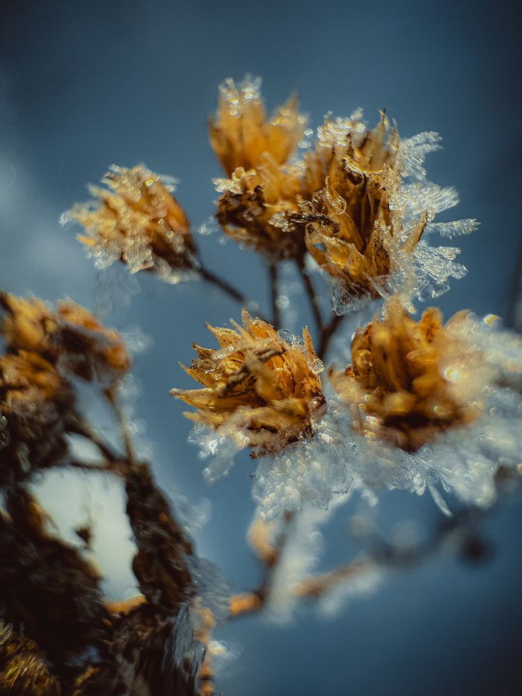 Photograph by Евгений Беляев