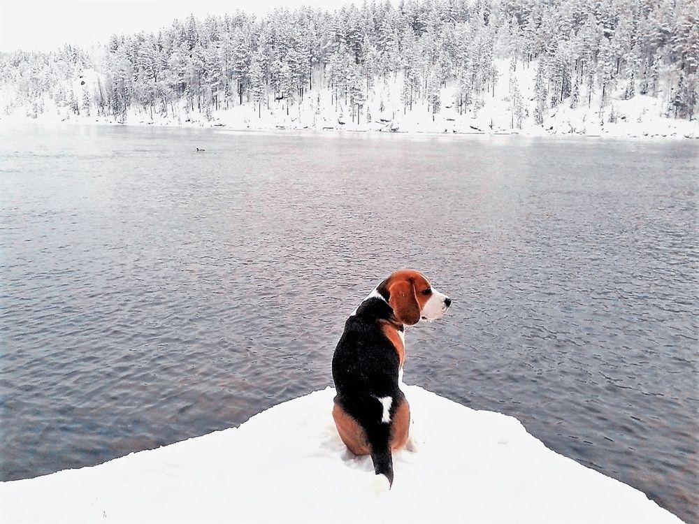 Photograph by Ирина Ахбаш