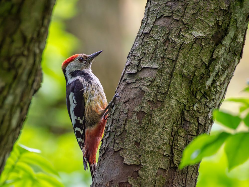 Photograph by Мамсур