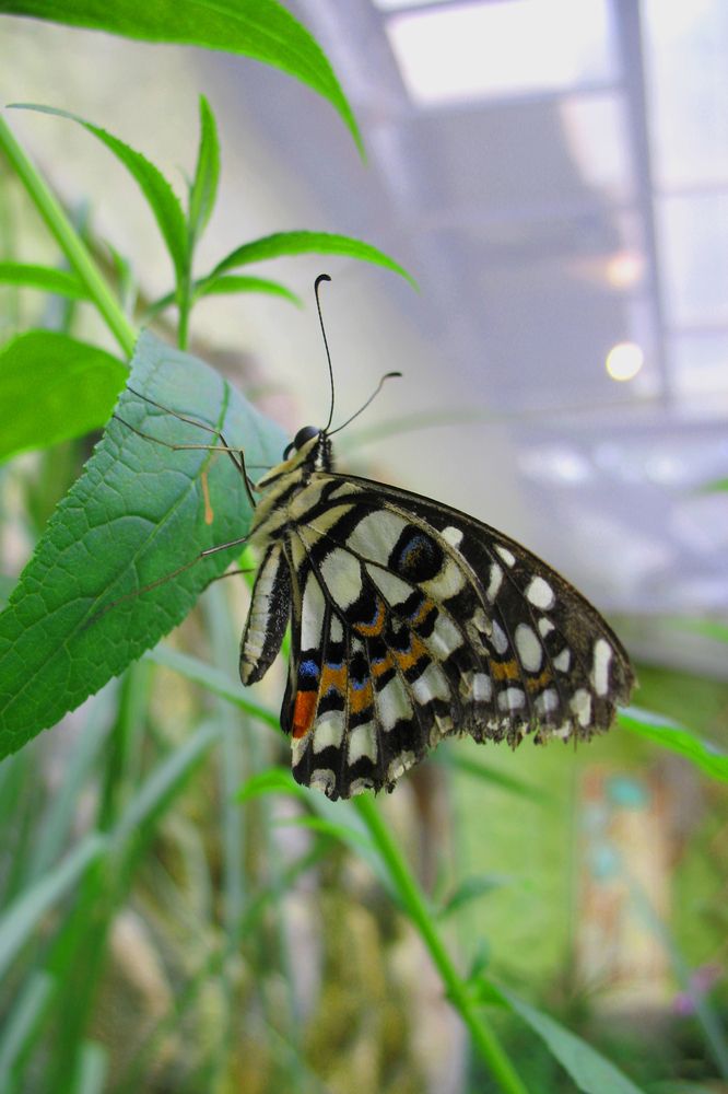 Photograph by Anton Hantov