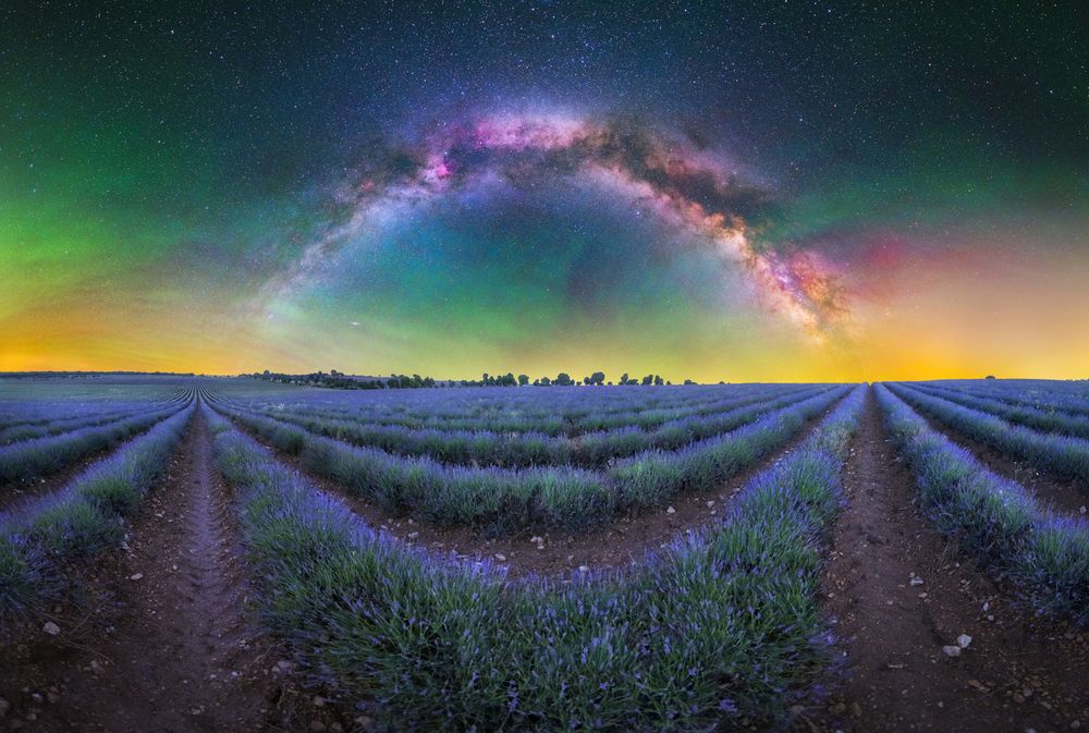 Photograph by Hector Hernandez