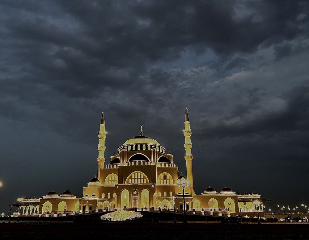 Photograph by Neda Namavar