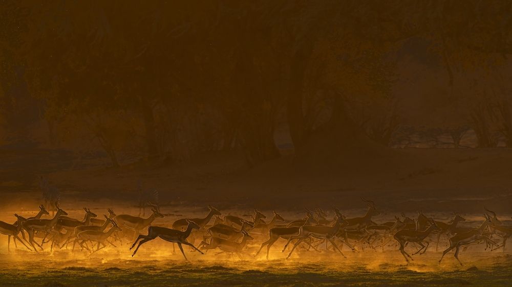 Photograph by Turgay Uzer