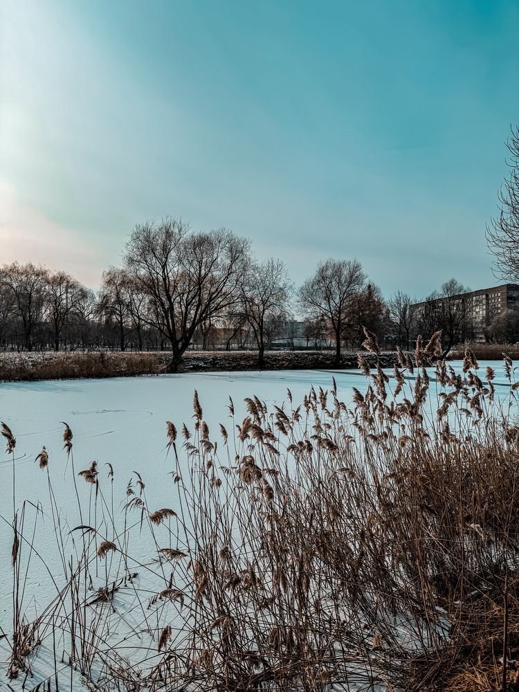 Photograph by Анна Пигулевская