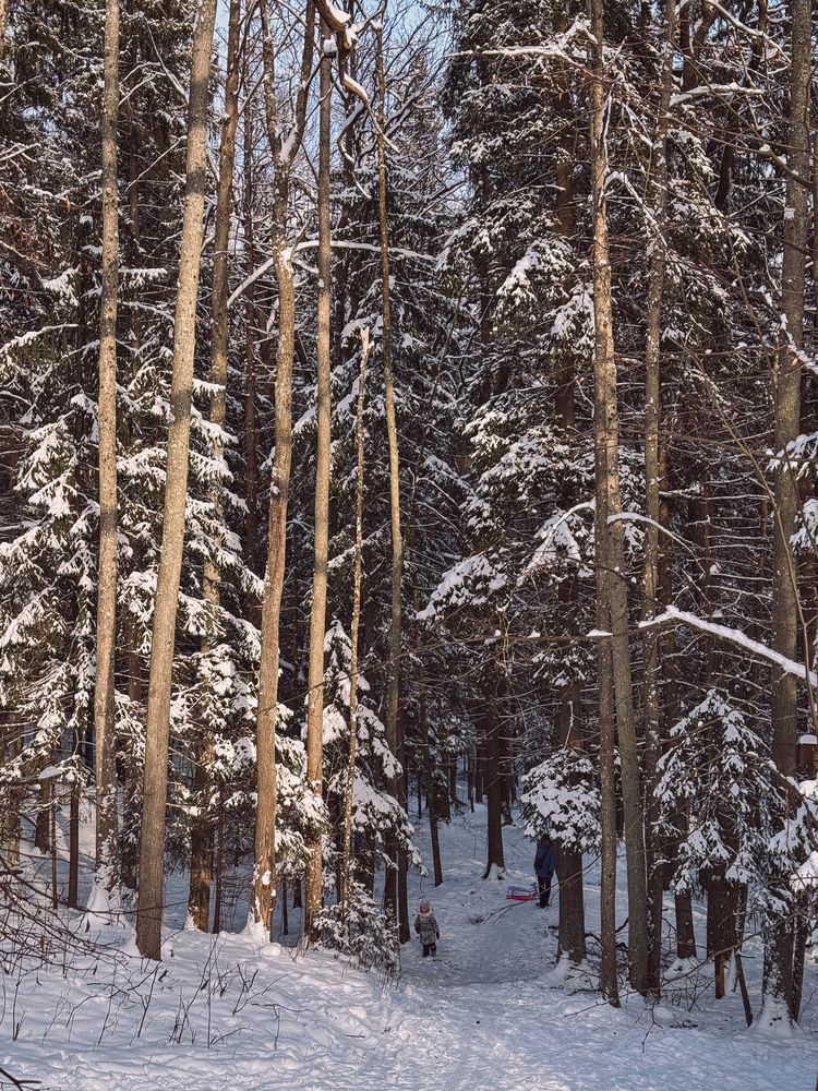 Photograph by Дарья Ищенко