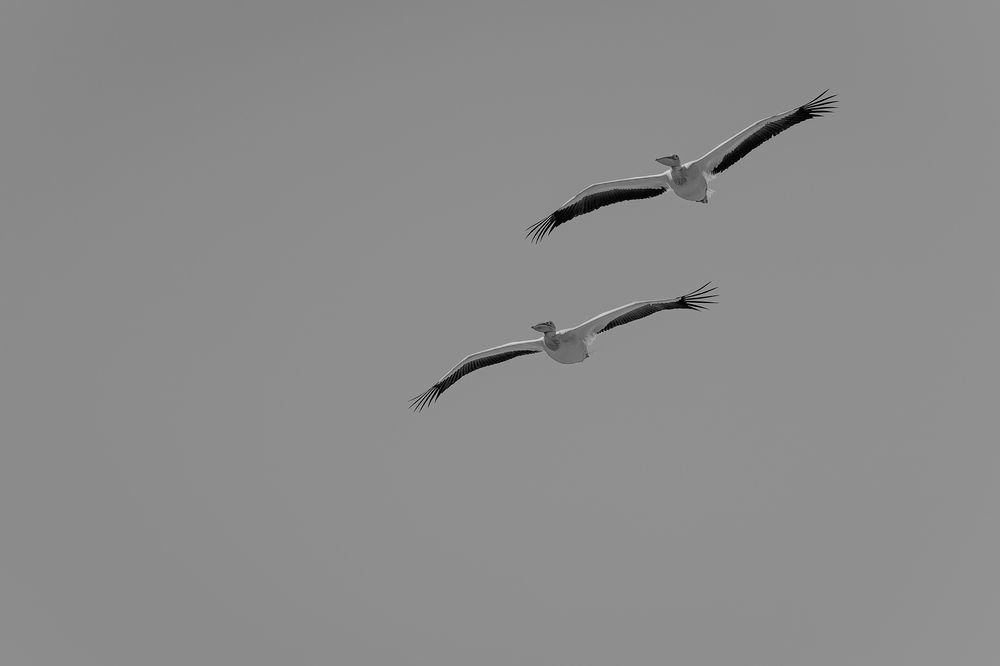 Photograph by George Alexandru Ghiuro