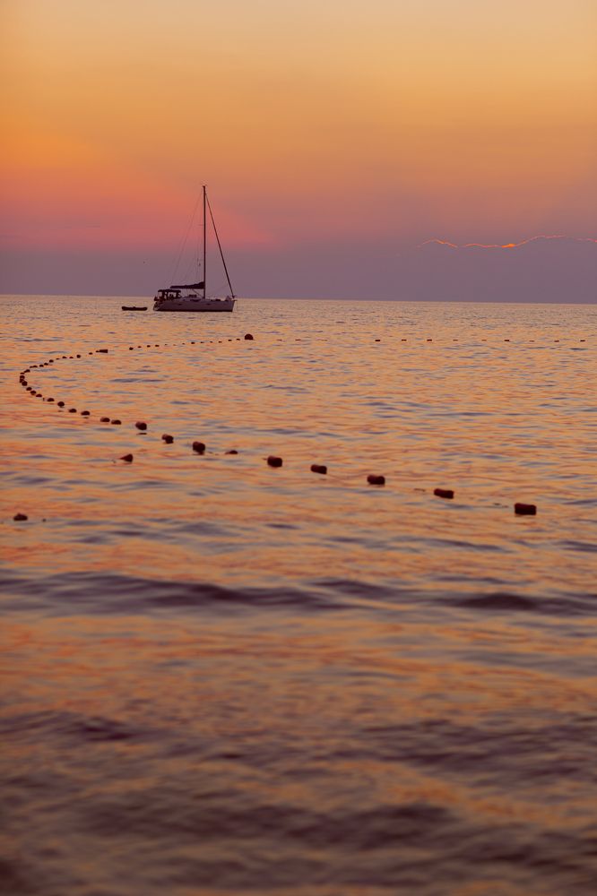 Фотография автора Анастасия Полякова