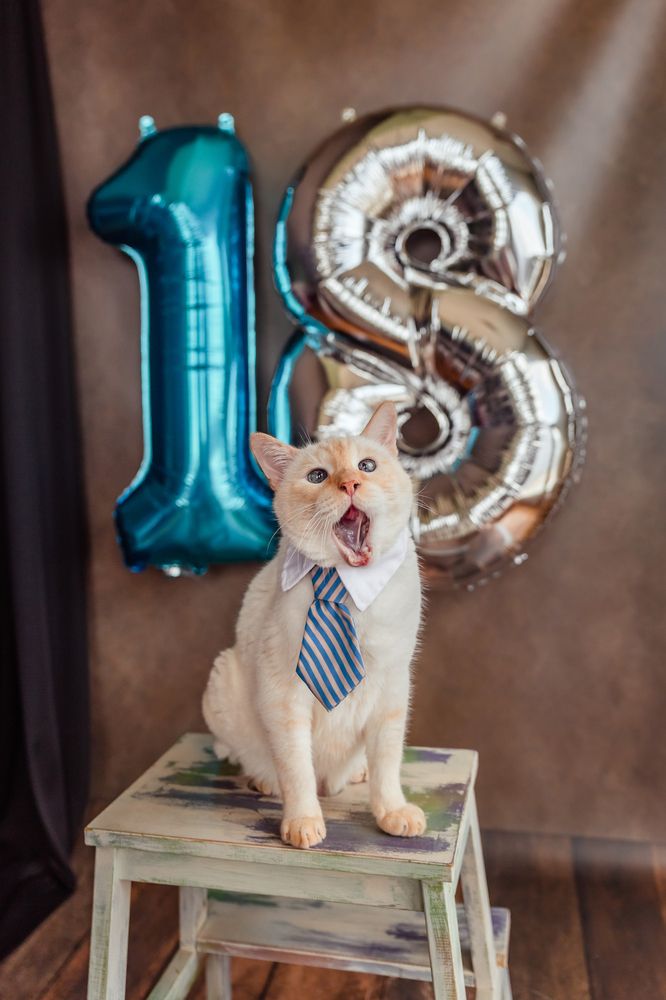 Photograph by Ирина Эрон