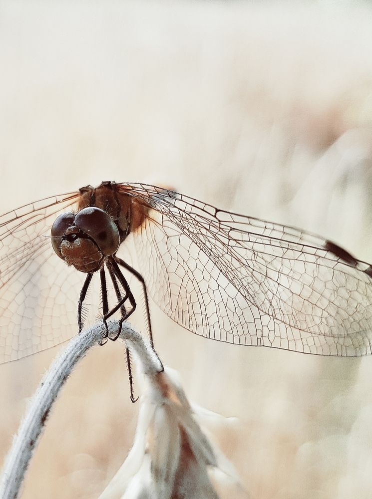 Photograph by Анастасия Сидоренко