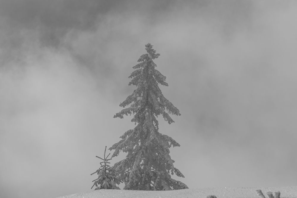 Photograph by George Alexandru Ghiuro