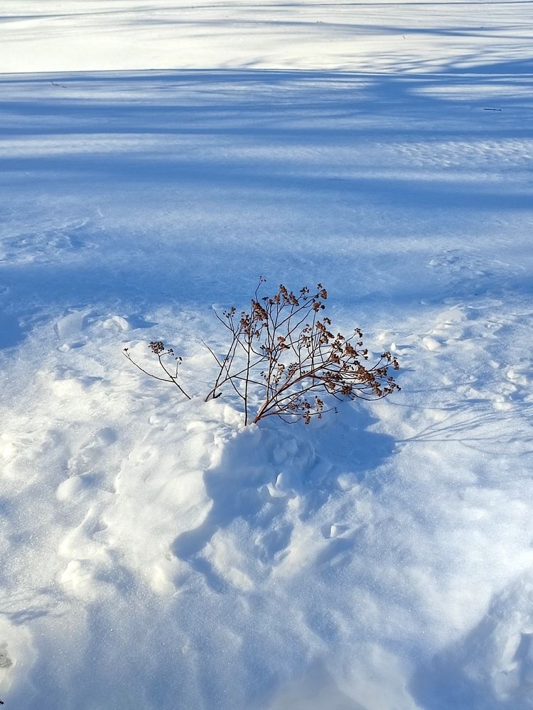 Photograph by Galina Novichkova