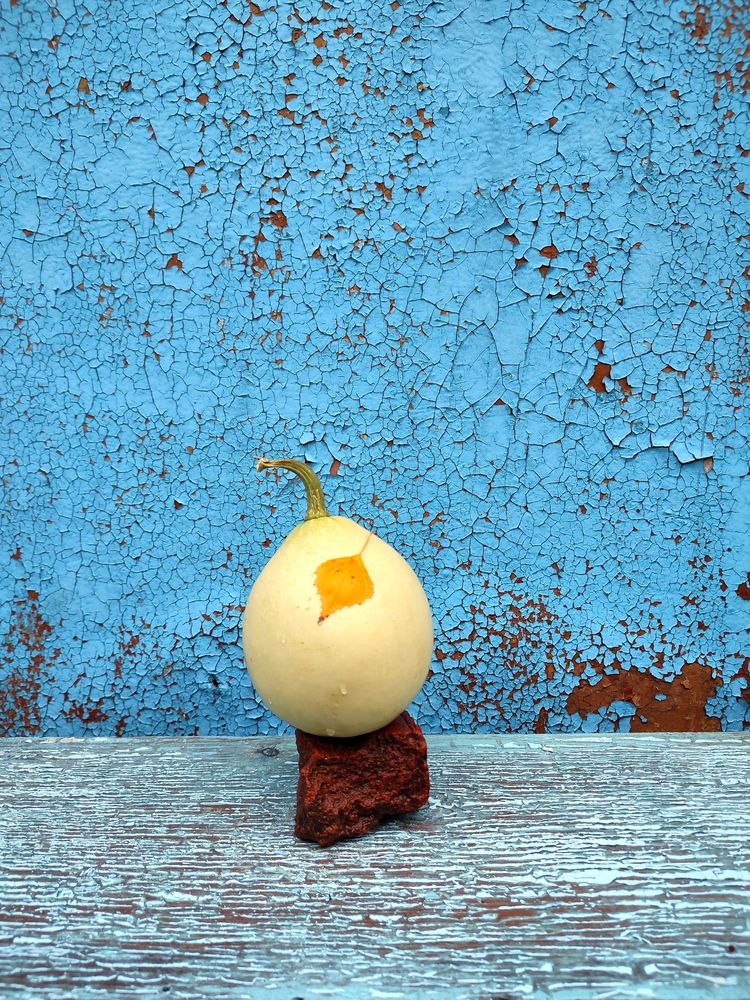 Photograph by Galina Novichkova