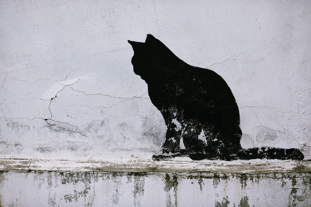 Photograph by Олег Мороз