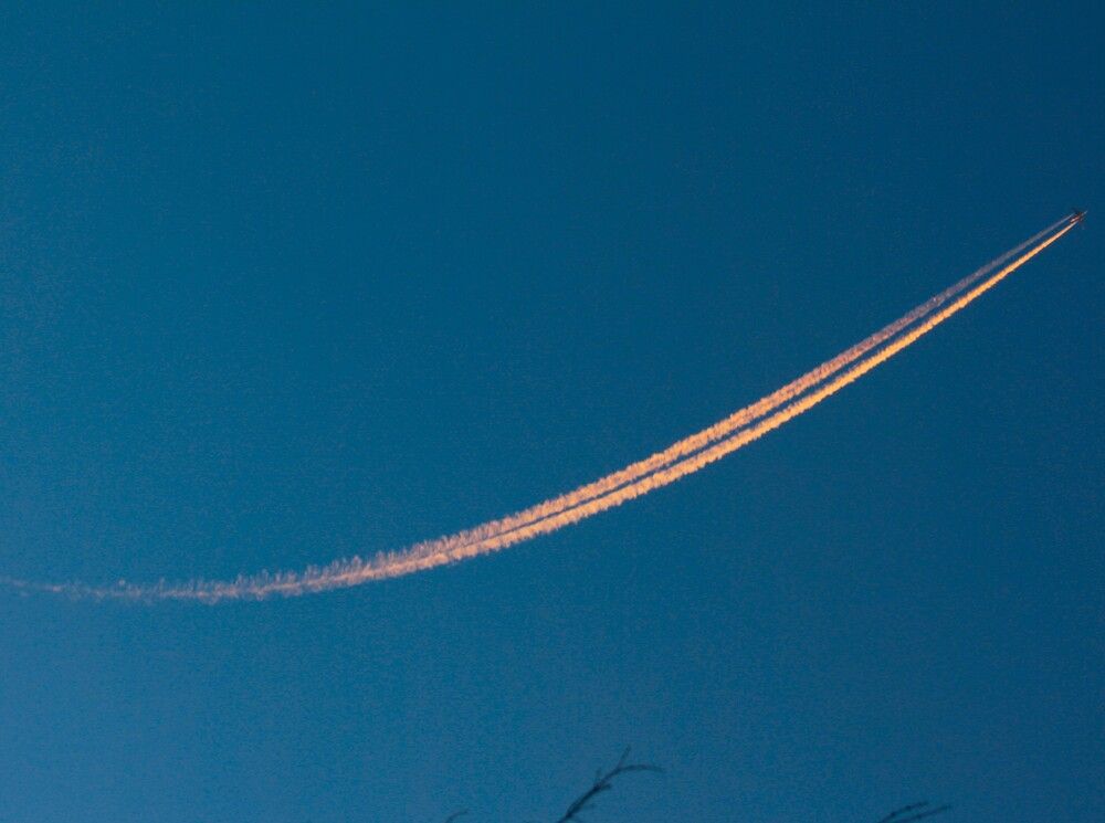 Photograph by Владимир Малёшин