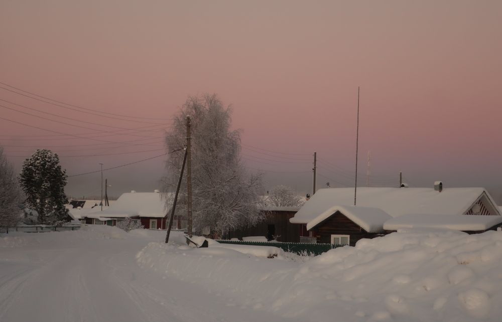 Photograph by Светлана Мамакина