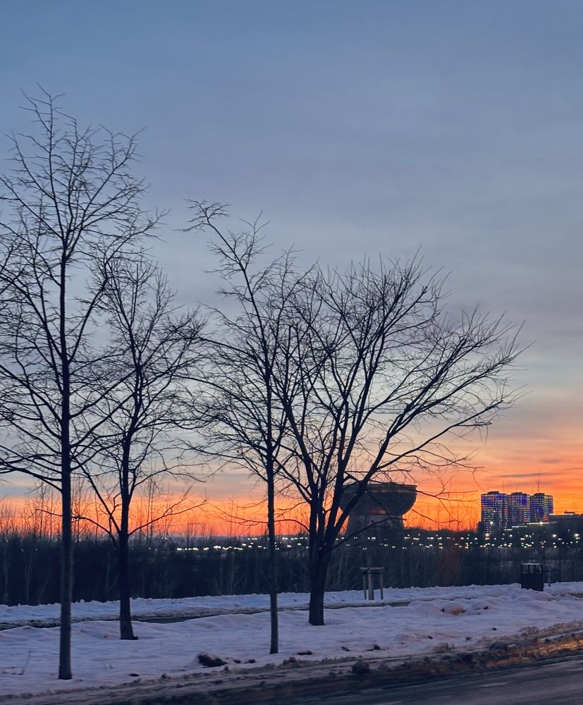 Photograph by Ксения Гулькова