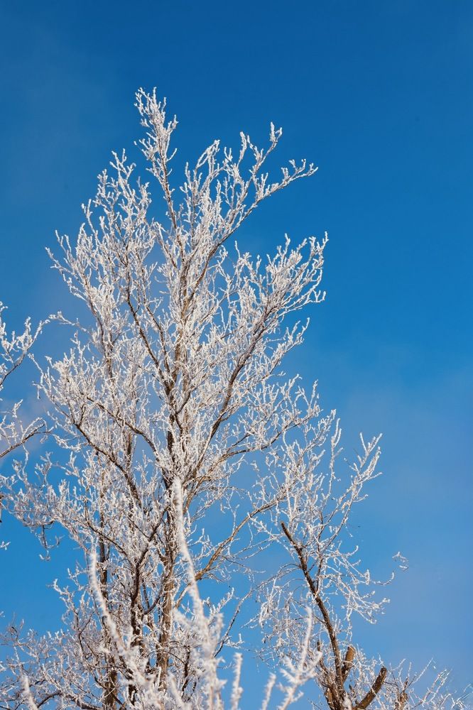 Photograph by Виктор Владимиров