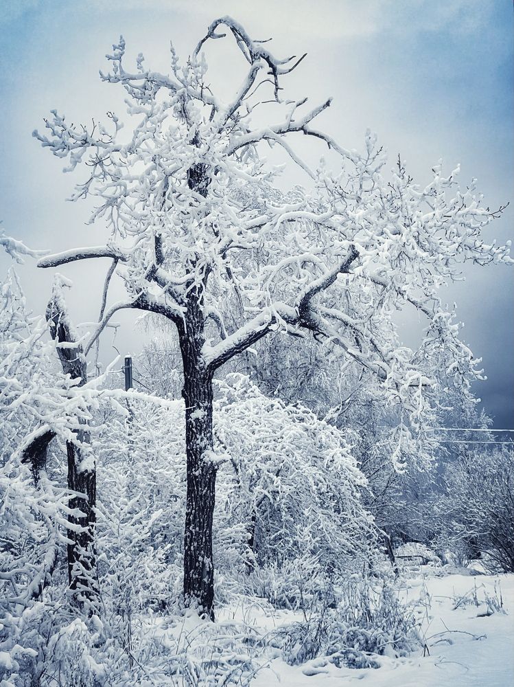 Фотография автора Люда Утина