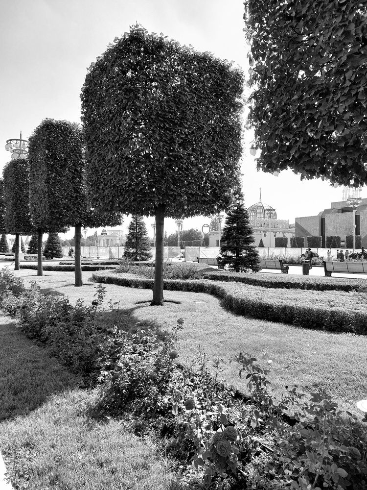 Фотография автора Sergey Nik