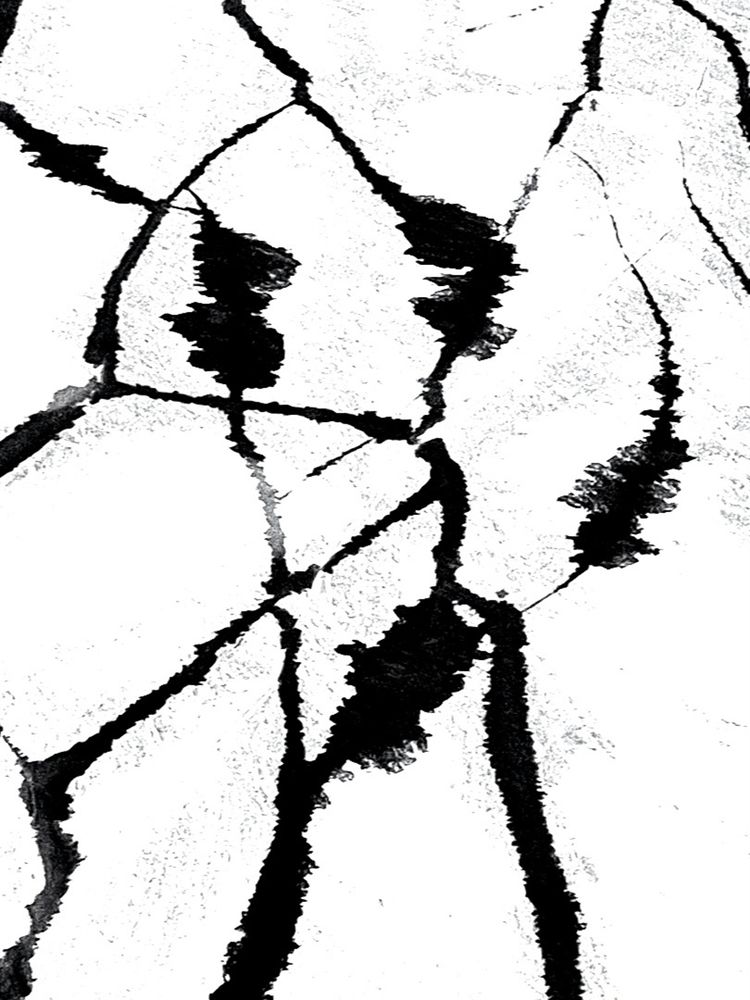 Photograph by Evgeny S.