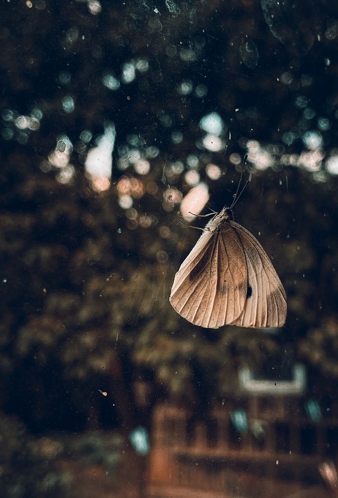 Photograph by Анна Пигулевская