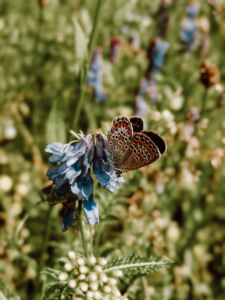 Photograph by Анна Пигулевская