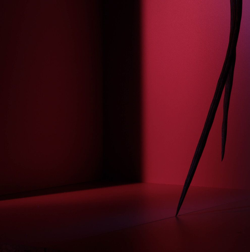 Фотография автора Максим Беднев