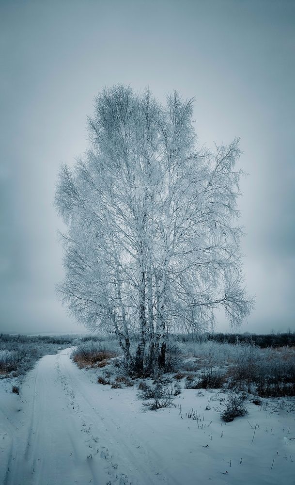 Photograph by Наталья Тополевская