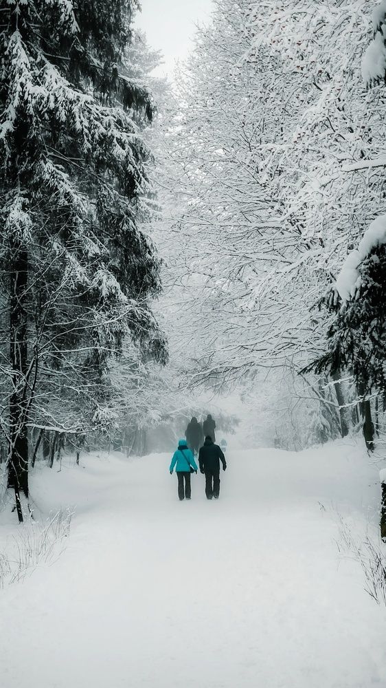 Photograph by Наталья Тополевская