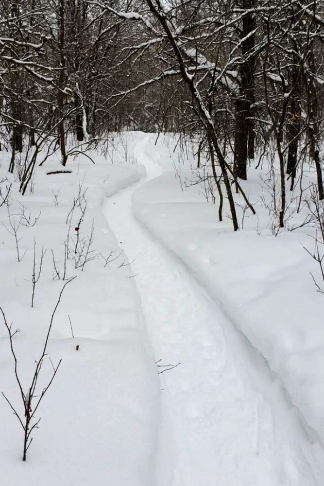 Фотография автора Al