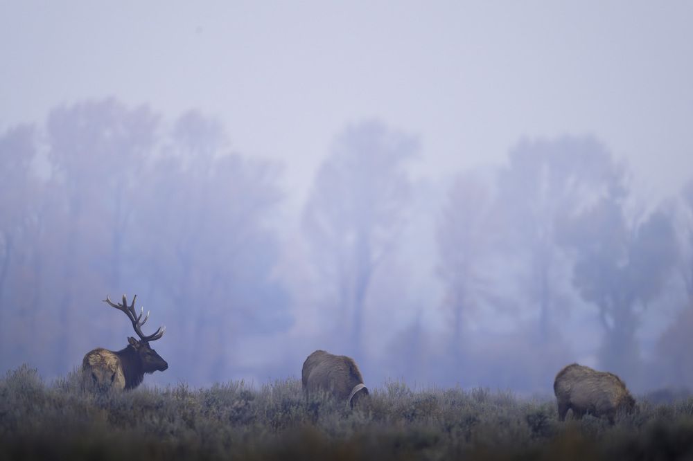 Photograph by Miller Dave